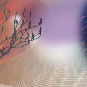 banner8-1920×999-1-2